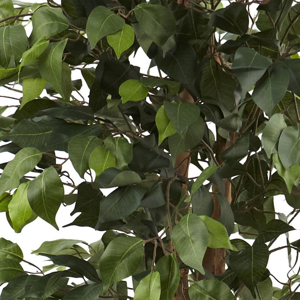 6.5' Green Silk Ficus Tree with Decorative Planter