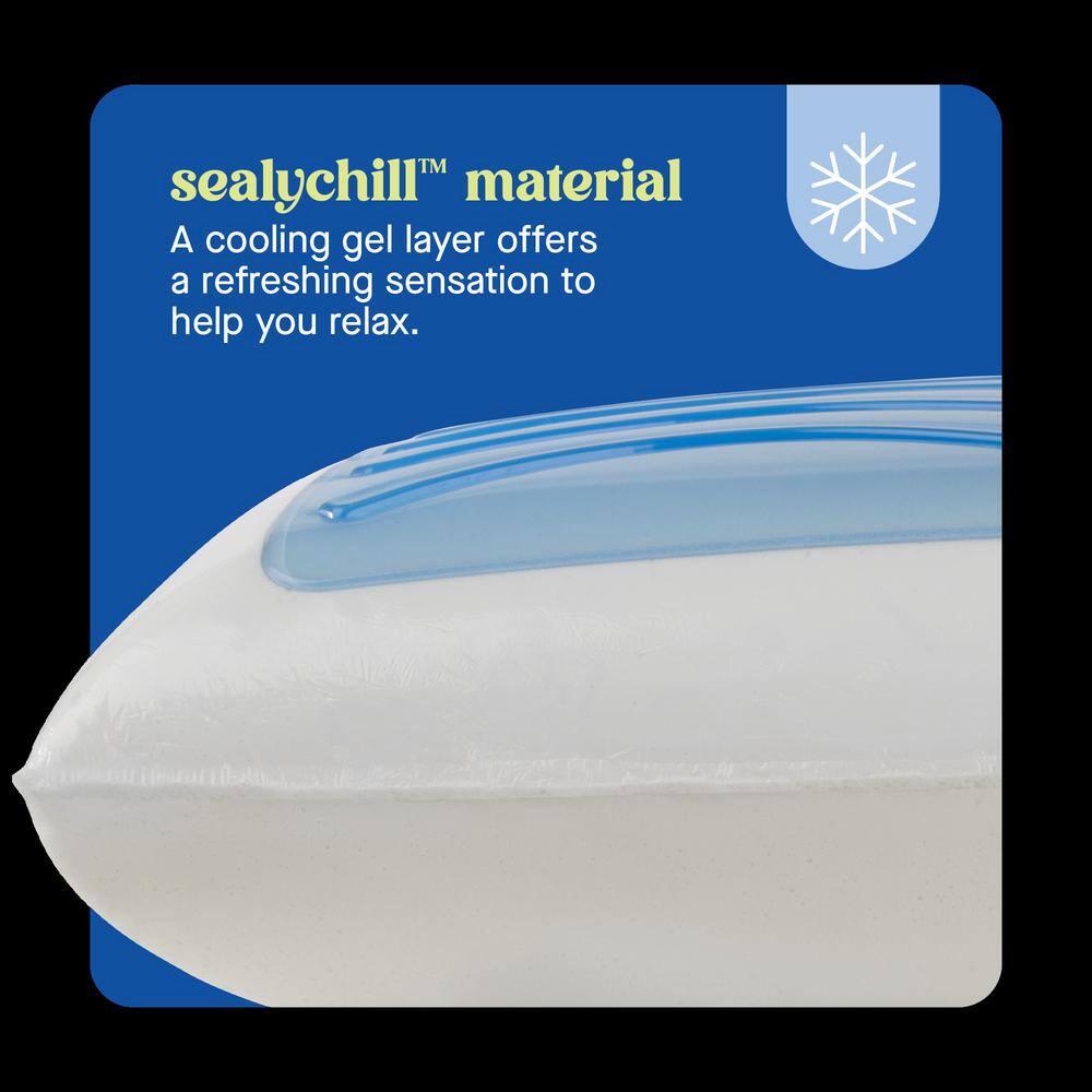 Sealy Dreamlife Standard Memory Foam Gel Pillow