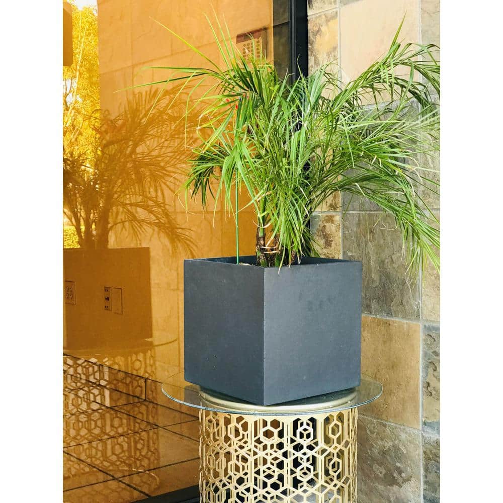 Modern Lightweight Concrete Square Planter, Charcoal Black, 15.35"