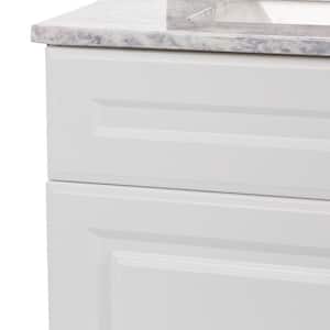 Glensford 31 in. W x 22 in. D x 38 in. H Single Sink  Bath Vanity in White with Winter Mist Cultured Marble Top