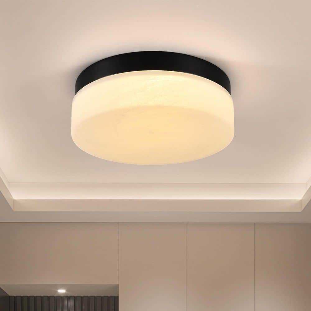11.4 in. Modern Black Round Dimmable LED Flush Mount Ceiling Light with White Cloud Glass Shade price history on PriceWatchPro
