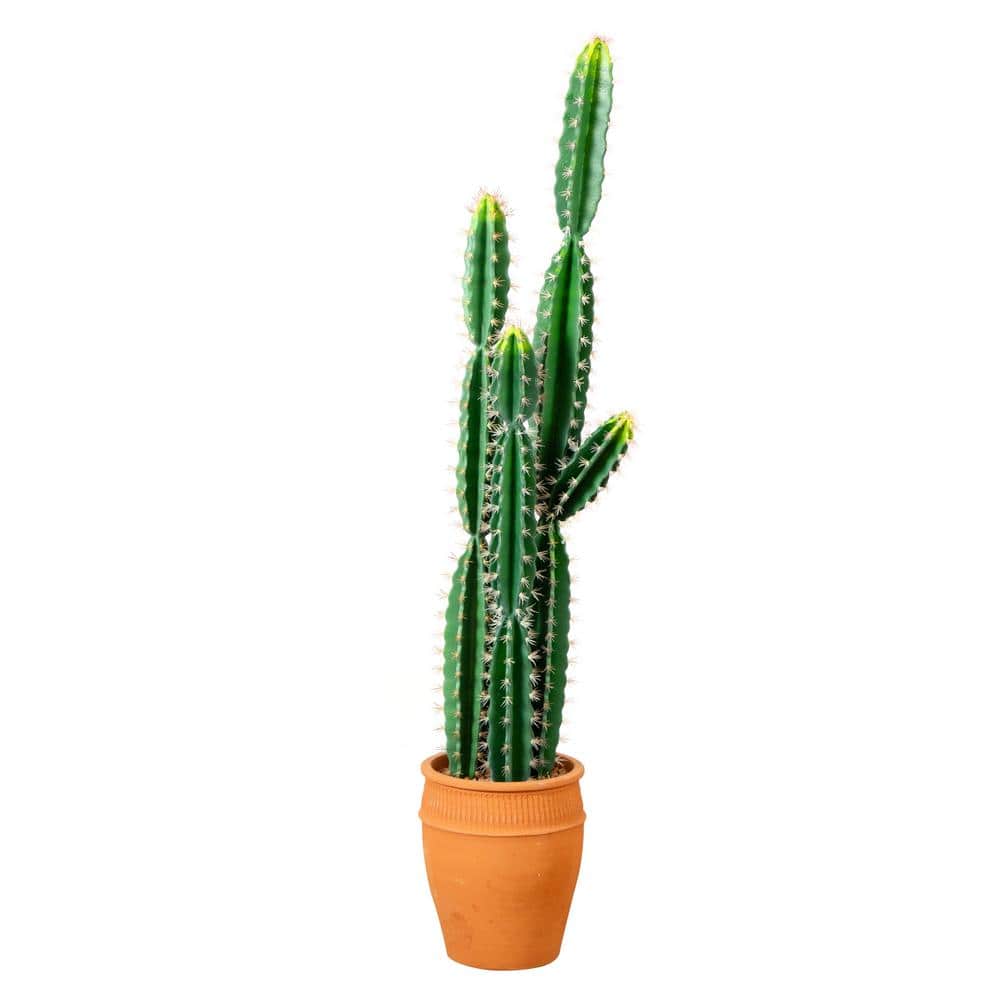 Nearly Natural 5 ft. Artificial Green Cactus in Terracotta Planter
