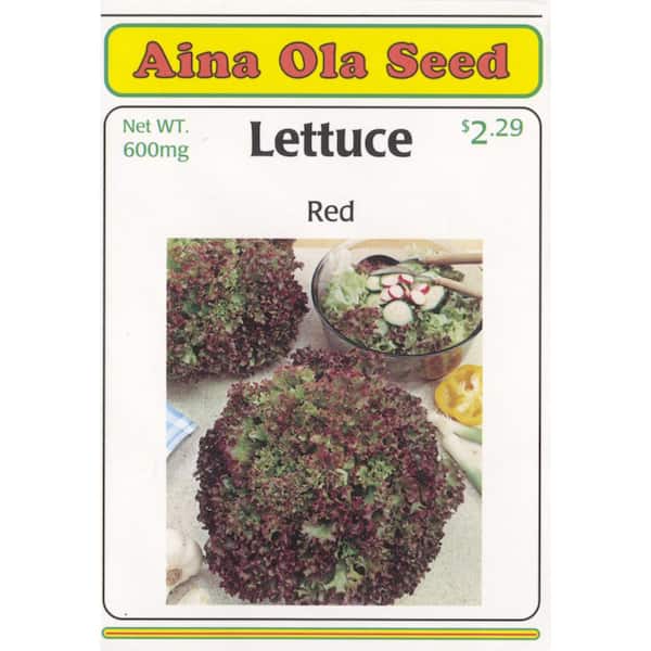 Aina Ola 600 mg Lettuce Red
