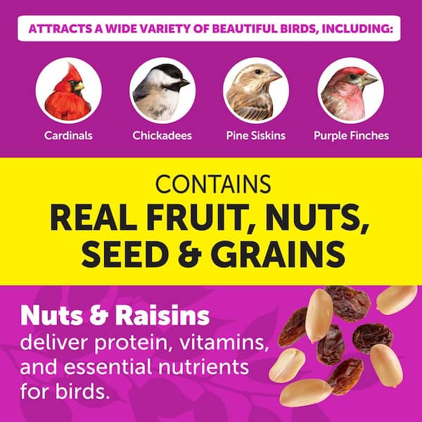 Ultimate 7 lb. Nut and Fruit Bird Seed Food Blend