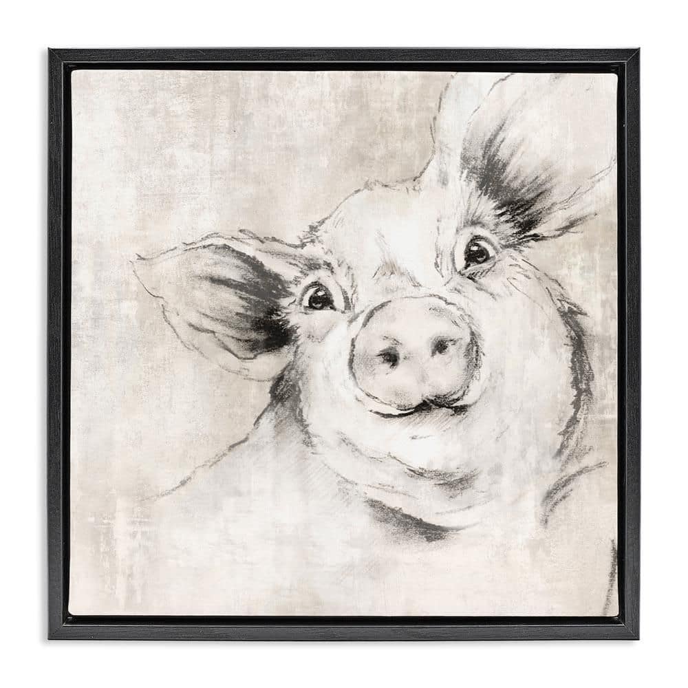 Pig Sketch Impression by Eli Jones Black Floater Frame Animal Graphic Art Print 25 in. x 25 in. price history on PriceWatchPro