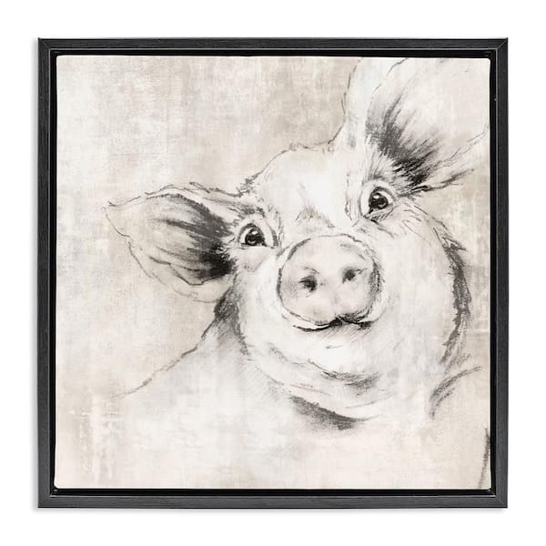Stupell Industries Pig Sketch Impression by Eli Jones Black Floater Frame Animal Graphic Art Print 25 in. x 25 in.