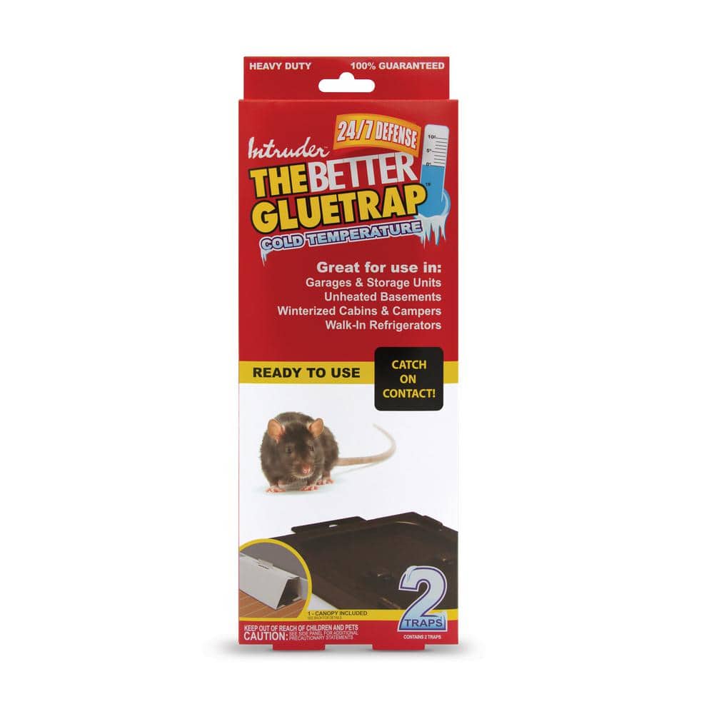 Intruder The Better Gluetrap Cold Temperature Rat Size (2-Pack)