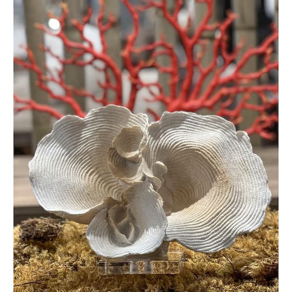 Reef White Coral Sculptures on Glass Stand (Set of 3)
