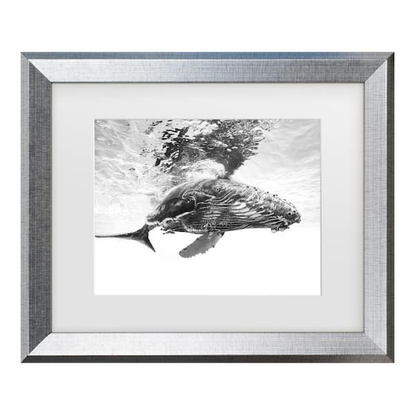 Trademark Fine Art Barathieu Gabriel Humpback Whale Calf Matted Framed Photography Wall Art 14.5 in. x 17.5 in.