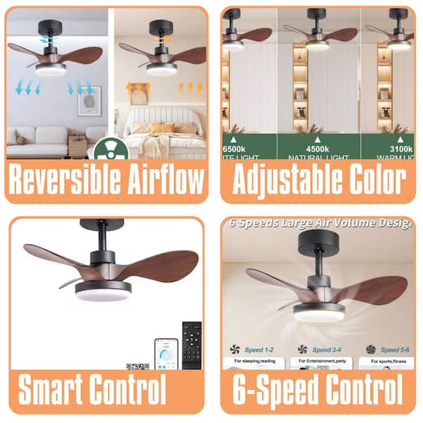 24 in. Black Downrod Mount Small Low Profile Ceiling Fan with Light Included, 6 Speeds Quiet Reversible DC Motor, Remote