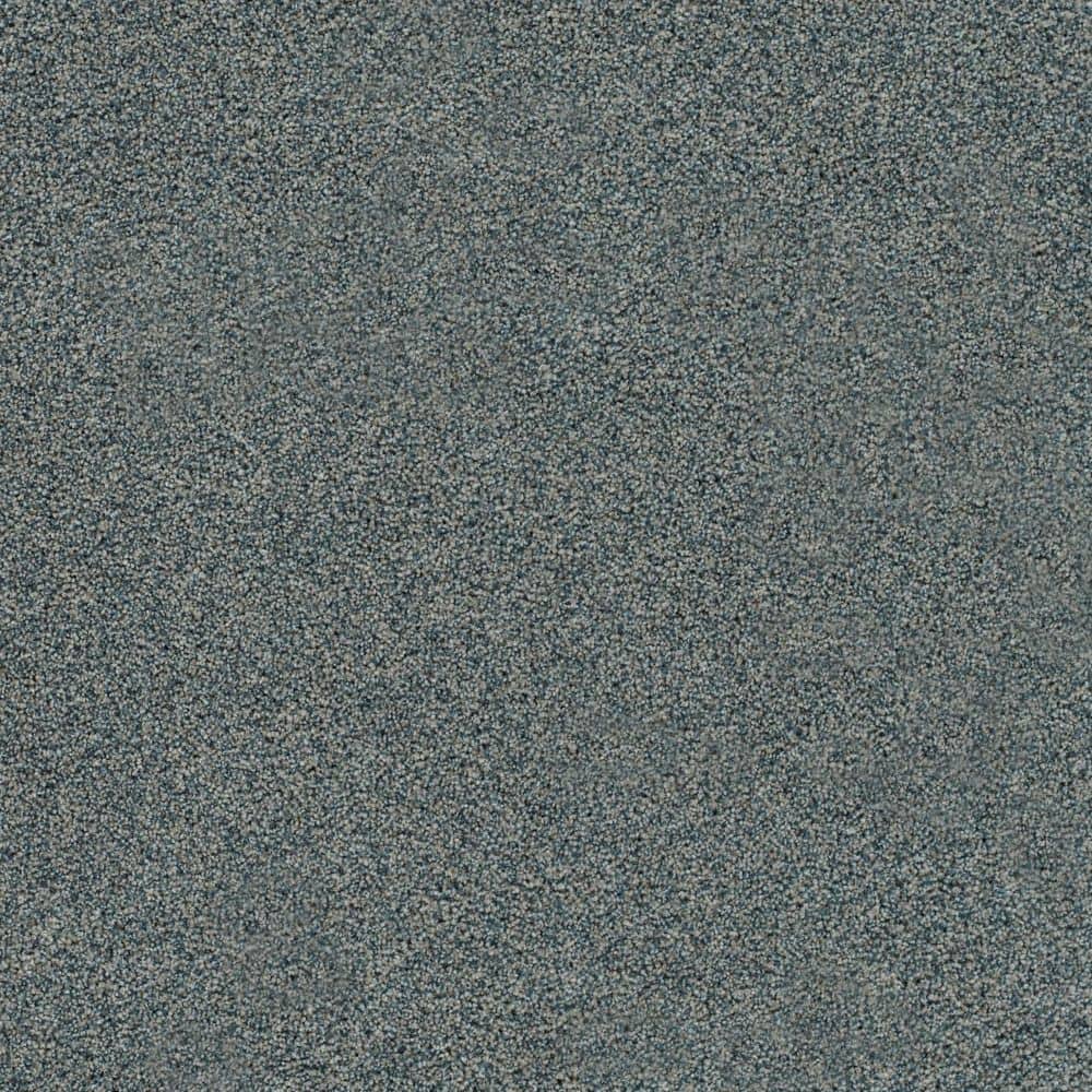 8 in. x 8 in. Texture Carpet Sample-Cinderella Soft II-Color Perfection price history on PriceWatchPro