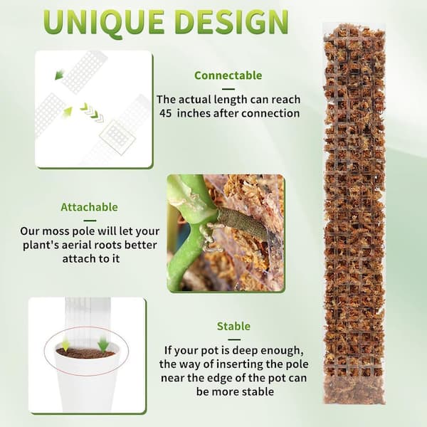 MIXC 4 Pieces 24 in. Plastic Moss Pole for Plants Monstera, Climbing  Plants, Plant Support for Indoor Plants HD45010