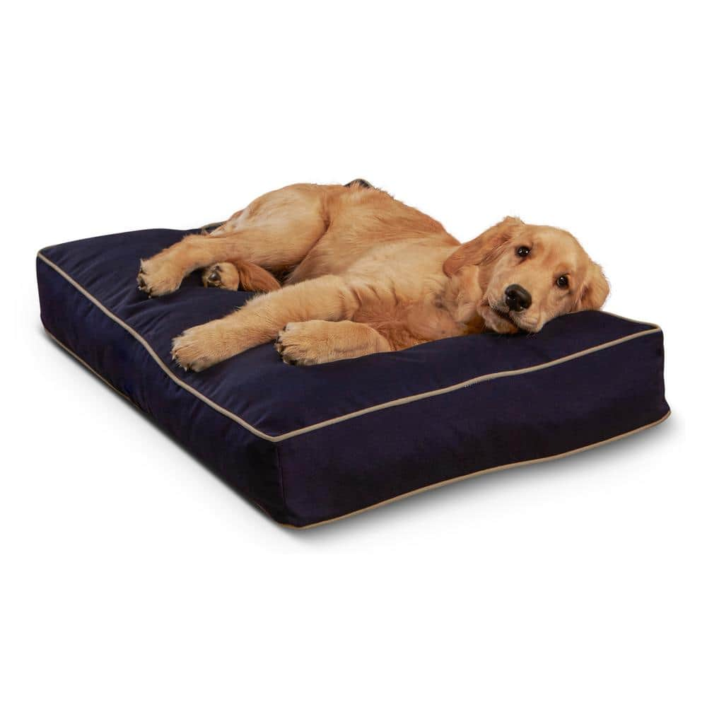 what size should a labrador bed be