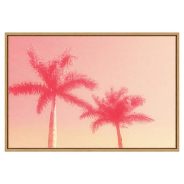 Amanti Art Palm Trees in Pink by Grafitee Studios 33 in. W x 23 in. H Canvas Float Frame in Brown