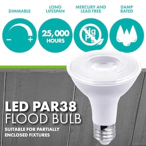 120-Watt Equivalent PAR38 Dimmable LED Light Bulb, 5000K Daylight, 24-pack