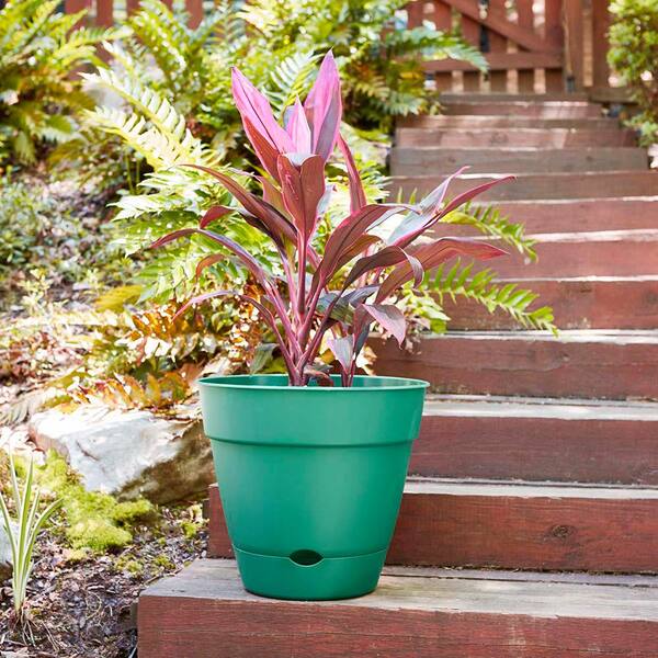 Urban Designs Newbury 自立式 3ロール バス トイレ トイレットペーパーホルダー ブロンズ