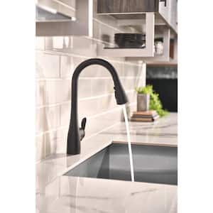 Arbor Single-Handle Pull-Down Sprayer Kitchen Faucet with Power Boost in Matte Black