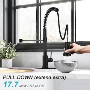 Single Handle Pull Down Sprayer Kitchen Faucet with Spring Spout in Matte Black