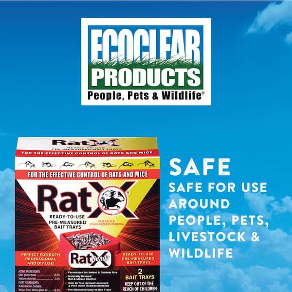 RatX Ready-To-Use Pre-Measured Rat Bait Trays (4-Count)
