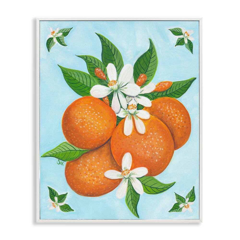 Botanical Citrus Oranges by Sarah Waldron Kimball White Framed Giclee Art Print Food 11 in. x 14 in. price history on PriceWatchPro