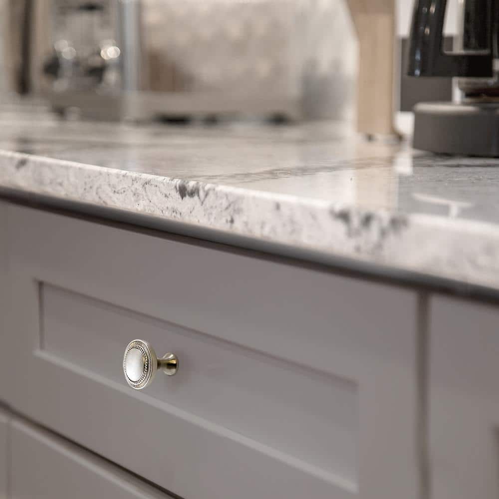 Brushed Nickel Round Cabinet Knob Set with Mounting Hardware