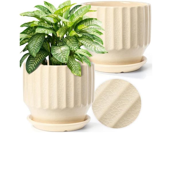 ITOPFOX Modern 6 in. L x 6 in. W x 5.5 in. H Creamy White Porcelain Round Indoor Planter (2-Pack)