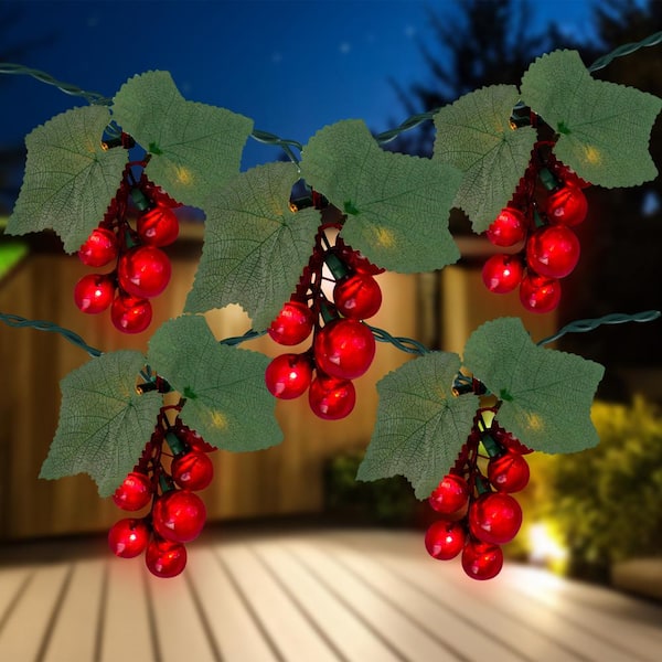 Northlight 192-ft 150-Light Clear Glass-Shade Plug-In Bulbs Incandescent String Lights Northlight 192-ft 150-Light Clear Glass-Shade Plug-In Bulbs Incandescent String Lights