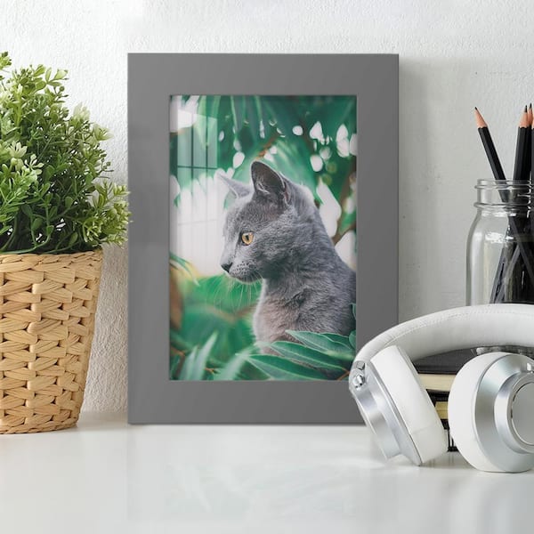 Modern 5 in. x 7 in. Grey Picture Frame (Set of 2)