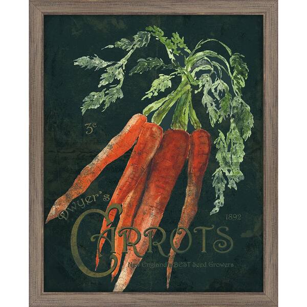 Melissa Van Hise 16 in. x 13 in. "Seed Packet Carrots" Framed Giclee Print Wall Art
