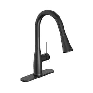 Cartway Single-Handle Pull-Down Sprayer Kitchen Faucet in Matte Black