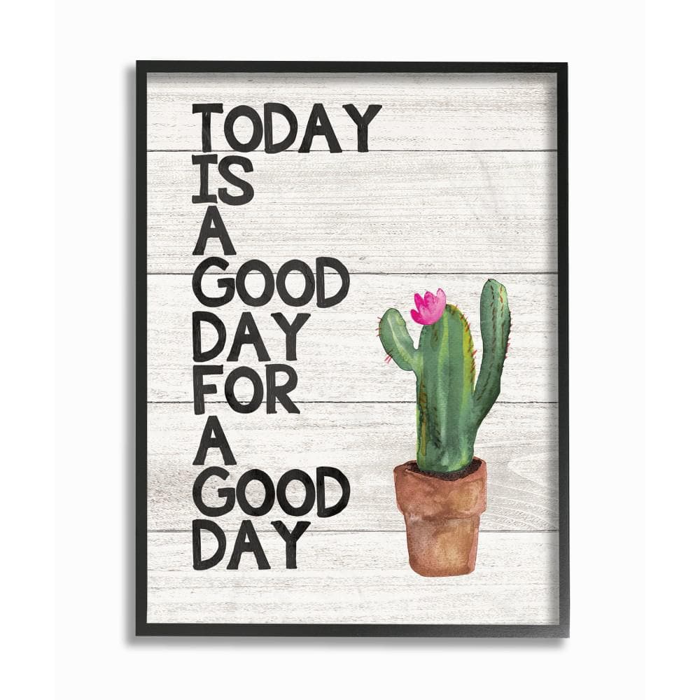 The Stupell Home Decor Collection 16 In X 20 In Today Is A Good Day Cactus Succulent Watercolor By Jo Moulton Framed Wall Art Mwp 465 Fr 16x20 The Home Depot