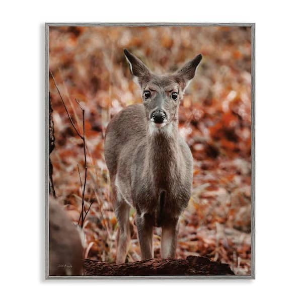 Stupell Industries Fawn in Autumn Nature by Dakota Diener Gray Framed Graphic Animal Art Print 16 in. x 20 in.