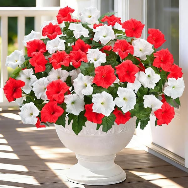 HALLELUJAH 2-2 Pettpants オフホワイト 38 4 Bundles 15.7 in. Red White Color Indoor/Outdoor Artificial
