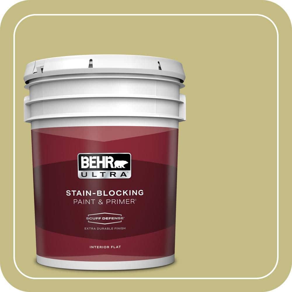 5 gal. #T13-19 Gnome Green Extra Durable Flat Interior Paint & Primer price history on PriceWatchPro
