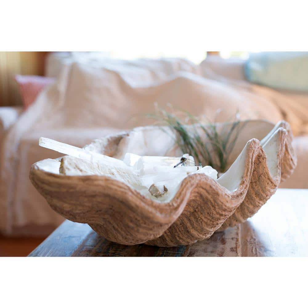 Large White Magnesia Seashell Decorative Bowl