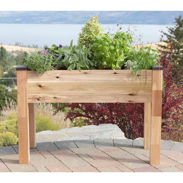 34 in. x 49 in. x 30 in. H Elevated Cedar Planter