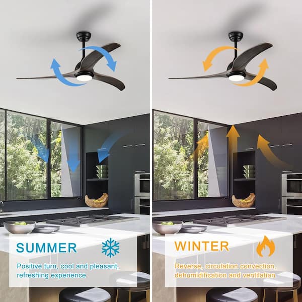 Sunpez 52 in. Indoor/Outdoor Black LED Ceiling Fan with