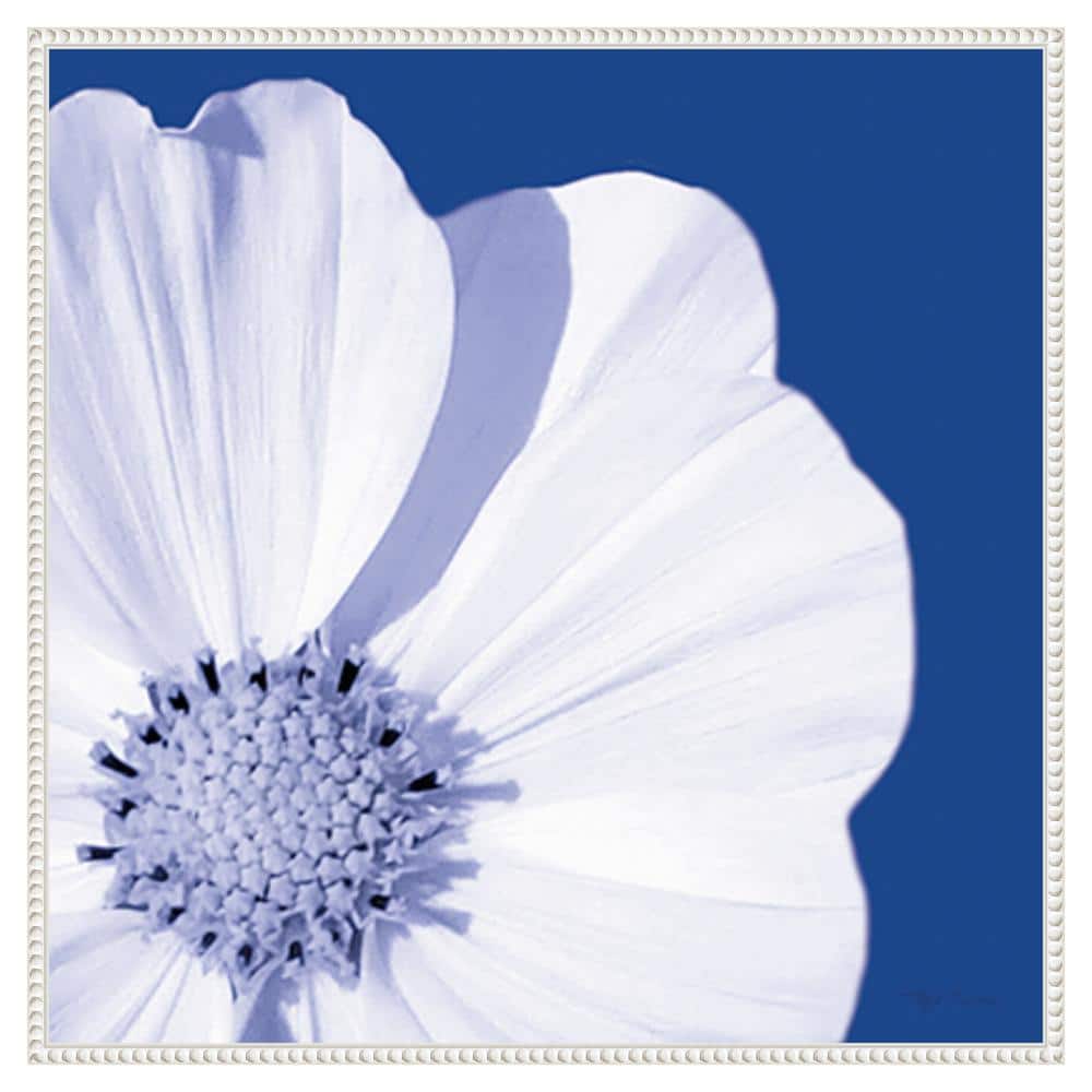 Flower Pop blue III by Marie Elaine Cusson 30 in. W x 30 in. H. Canvas Wall Art Print Framed in White price history on PriceWatchPro