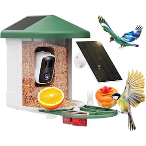 Green Plastic 50 oz. Smart Bird Feeder with Camera & Outdoor 2 Solar Panels