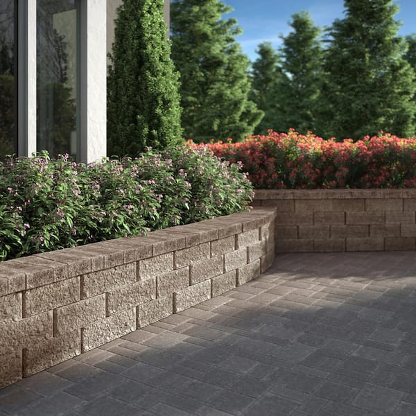 Pavestone RumbleStone Mini 7 in. x 3.5 in. x 1.75 in. Greystone ...