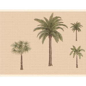 Falkirk Dandy II Green Brown Palm Trees Nature Peel and Stick Wallpaper Border