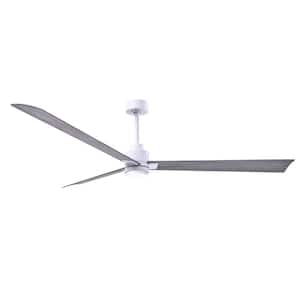Alessandra 72 in. Integrated LED Indoor/Outdoor White Ceiling Fan with Remote Control Included