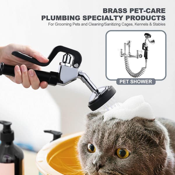 Polished Chrome 8 in. Centers 2-Handle Wall-Mount Pet Grooming Faucet with 10 ft. Coil Hose and Pre-Rinse Sprayer