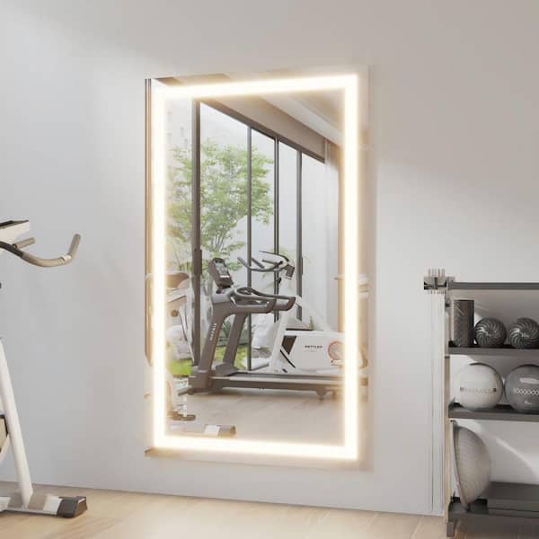 ORGANNICE 36 in. W x 60 in. H Wall-mounted Full-length Mirror LED