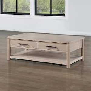 Gabby 50 in. Brown Oak Rectangle Cocktail Table