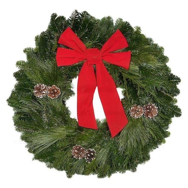 national PLANT NETWORK DIY Wreath Kit