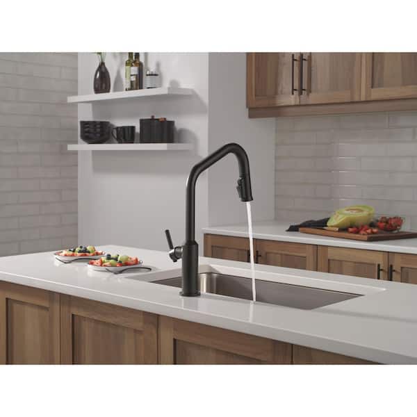 Delta Cordova Matte Black 17.06 in. H Pull Down Sprayer Kitchen
