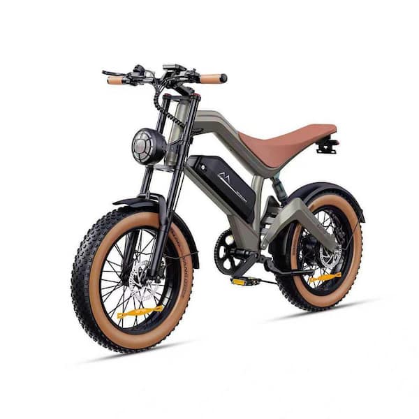 20 in. 750W Fat Tire 48V Removable Lithium Battery Shimano 7-Speed Electric Bike for Adults