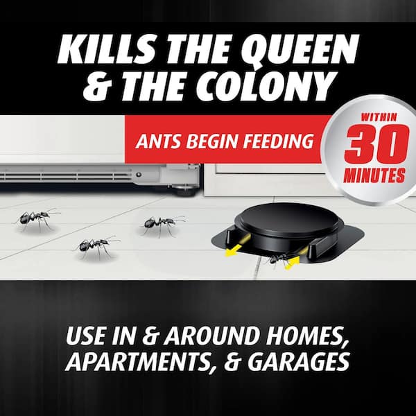 Orthene Ant Killer Ant Bait, 8 Stations
