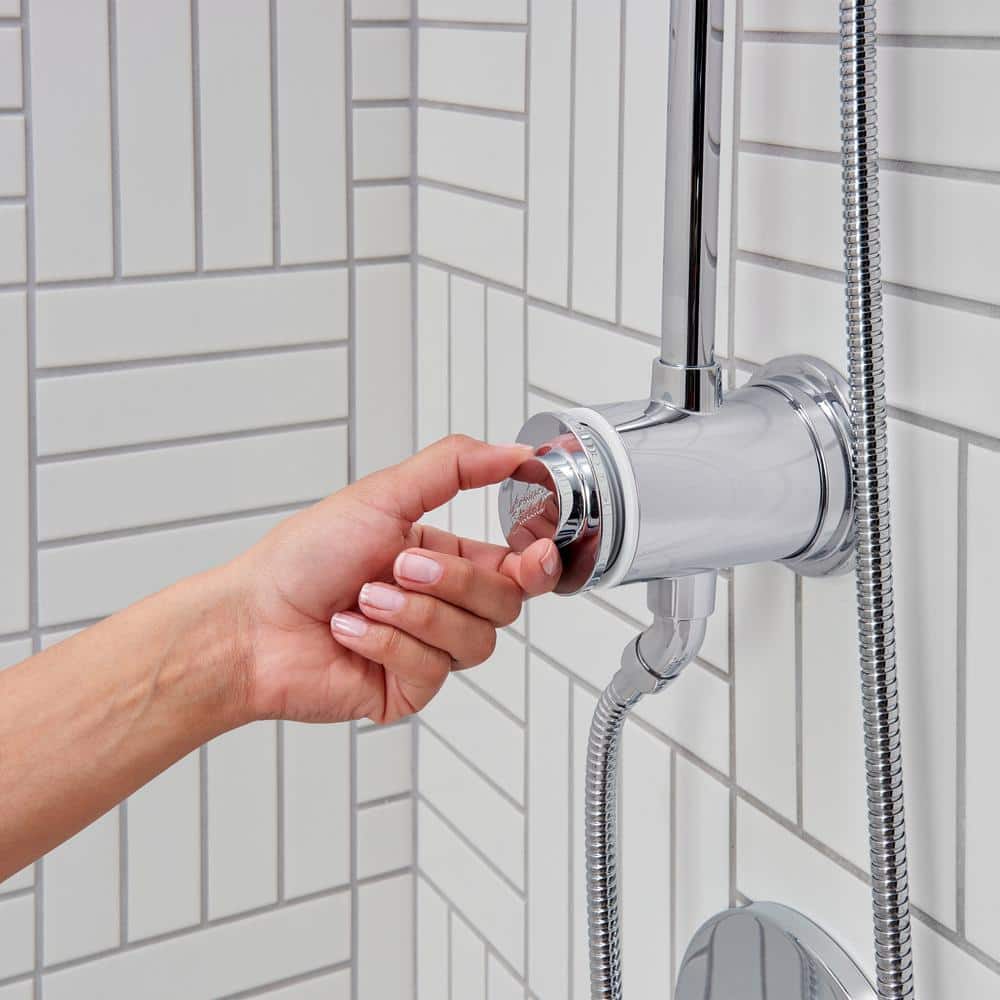 Spectra Chrome Adjustable Handheld Shower System with Filter